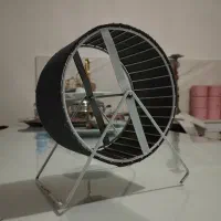 چرخ فلک همستر