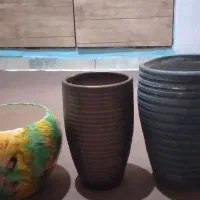 گلدان های نو|گل و گیاه طبیعی|شهریار, شهرک مصطفی خمینی|دیوار