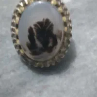 شجرقائنات‌زیبا|کلکسیون اشیاء عتیقه|قرچک, مهدیه|دیوار