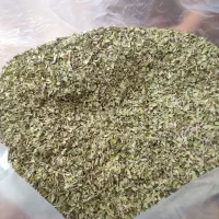 آویشن برگ پهن(کوه های بمو)