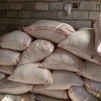 کاه گندم دیم خوزستان|لوازم جانبی حیوانات|اندیمشک, |دیوار