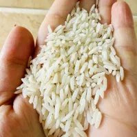 برنج اصل دم سیاه محلی