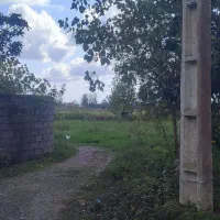 7000 متر زمین زراعی / شالیزار / مزروعی / زیبا کنار|فروش زمین و ملک کلنگی|رشت, گلسار|دیوار