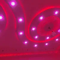 گچکار|خدمات پیشه و مهارت|خاش, |دیوار