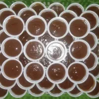 سمنوخونگی بشرط بدون شکر