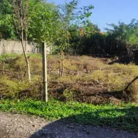 زمین مسکونی