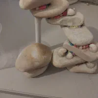 تز اینات اکواریم