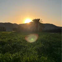 فروش-زمین-کشاورزی