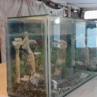 اکواریوم سایز بزرگ