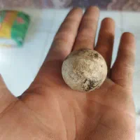 سنگ تخمه مرغی|کلکسیون اشیاء عتیقه|ارومیه, |دیوار