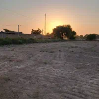 زمین تفکیکی کوت سید سلطان(نرسیده به ویس و ملاثانی)|فروش زمین و ملک کلنگی|اهواز, کوروش|دیوار