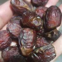 فروش خرما