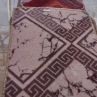 پادری نو