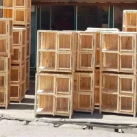جفتخون کفتر