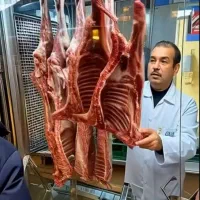 اجاره مغازه گوشت و مرغ و پروتئین بازارچه نفت|اجارهٔ مغازه و غرفه|تهران, شهرک نفت|دیوار