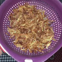 پیاز داغ وبادمجان...