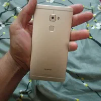 کوی علوی فلکه