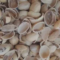 پوست پسته کربن پسته زغال پسته خرید فروش