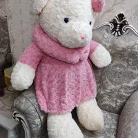 خرس شاسخین|اسباب‌بازی بچه|پاکدشت, پاکدشت (مامازند)|دیوار