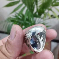 شجرمصورکلکسیونی عتیقه|کلکسیون اشیاء عتیقه|فارسان, |دیوار