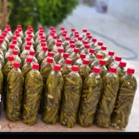 فروش خیارشور
