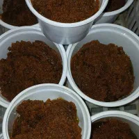 پخت حلوا بربری این قیمت امشب