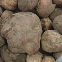 دنبلان(اِغِر)