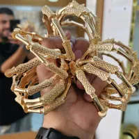 بدلیجاتی طرح طلا فلوریا