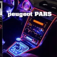 تعمیرات روکش خودرو با چک صیادی