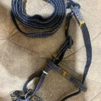 قلاده نو۲۰۰