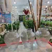 گلدان شیشه ای بامبو خمره شیشه شامپاینی آگلونما ناز|صنایع دستی و سایر لوازم تزئینی|قم, ولیعصر|دیوار