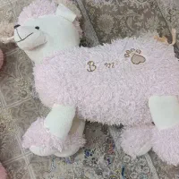 دو عدد عروسک پولیشی