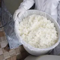 کر ه گاو|خوردنی و آشامیدنی|مسجد سلیمان, |دیوار