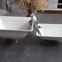 میوه خوری و رولت خوری