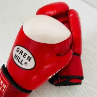 دستکش حرفه ایی