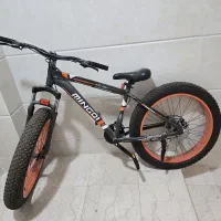 دوچرخه ساحلی