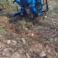 شخم زنی هرس درختان سم پاشی