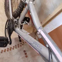 دوچرخه ۲۶ ویوا نو|دوچرخه، اسکیت، اسکوتر|زاهدان, |دیوار