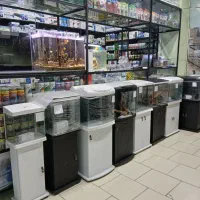 ماهی آکواریوم و لوازم