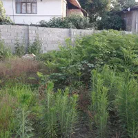 تهاتر/ معاوضه 600متر زمین بازمین کشاورزی ودامداری|فروش زمین و ملک کلنگی|شفت, |دیوار