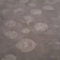 فرش