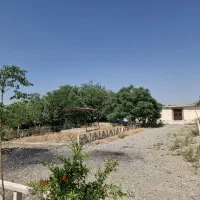 باغ|فروش زمین و ملک کلنگی|ری, شهید بهشتی|دیوار