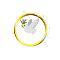 ۸تا کفتر هوایی بی بمب برا تربت