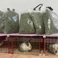 یونجه|لوازم جانبی حیوانات|کرج, عظیمیه|دیوار