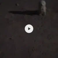 سلام ب همه دوستان این سگ دوزیدن|حیوانات|زهک, |دیوار