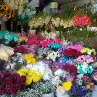 درخواست نیروی کار