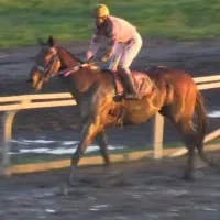 نریان دوخون گروه ۱