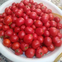 ر ب گ و ج ه د ر ج ه ی ک