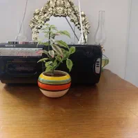 ظبط سونی اصلی