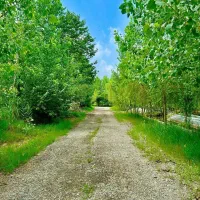 مالک دارایی سودی شوید ویلا در منطقهای اقتصادی|فروش خانه و ویلا|شازند, |دیوار